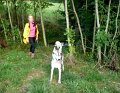 Wiederbelichtung von Sommerfest 2015 12